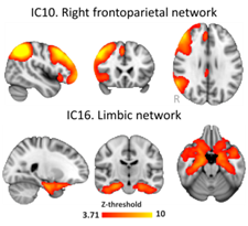 Negative functional coupling between the right fronto-parietal and limbic resting state networks predicts increased self-control and later substance use onset in adolescence