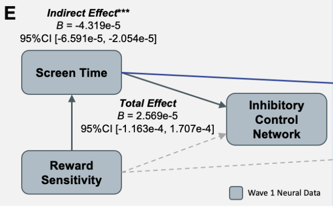 Negative Impact of Daily Screen Use on Inhibitory Control Network in Preadolescence: A Two Year Follow-Up Study