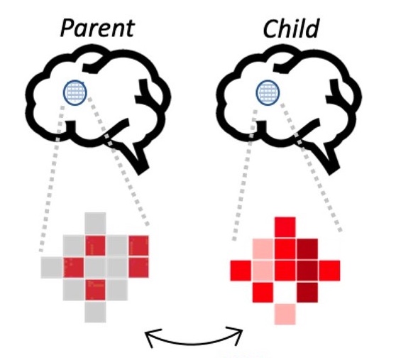 Parent-child Neural Similarity: Measurements, Antecedents, and Consequences
